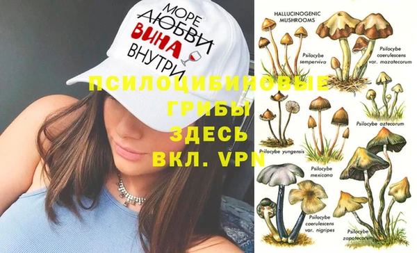 таблы Алексеевка