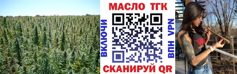 Дистиллят ТГК THC oil  Андреаполь 