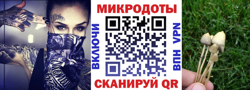 даркнет сайт  KRAKEN ТОР  Галлюциногенные грибы Psilocybine cubensis  Андреаполь 